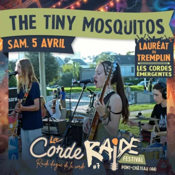 The tiny Mosquitos
